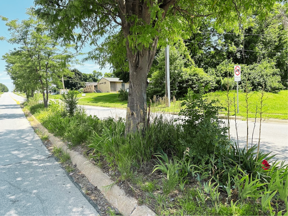 a neglected median in Omaha